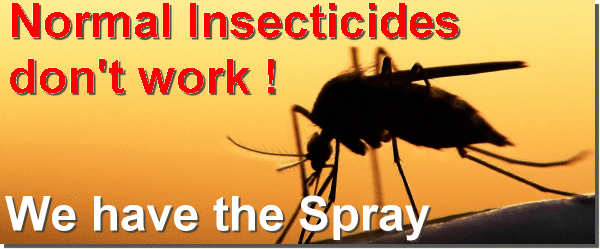 Tiger Mosquiito, Pest Control Quesada